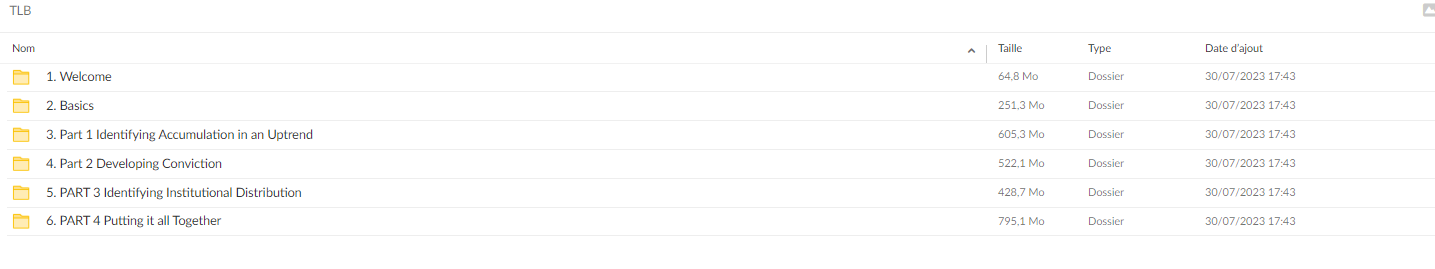 TraderLion – Leadership Blueprint